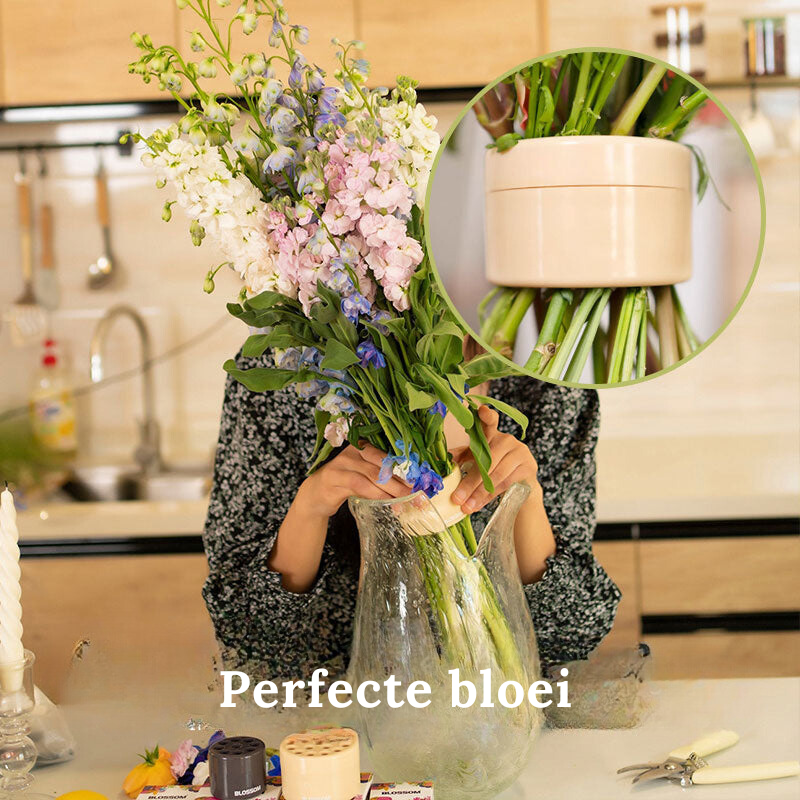 BlossomSpiral bloemenhouder | 1+1 Gratis