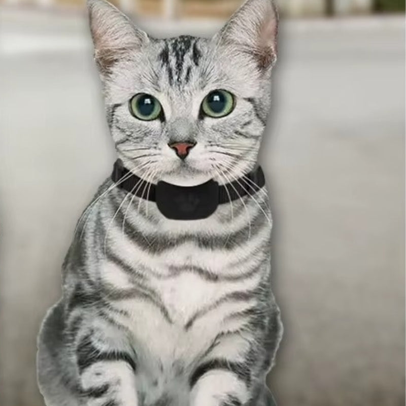 TrackPaw – Huisdier GPS Tracker met Verstelbare riem