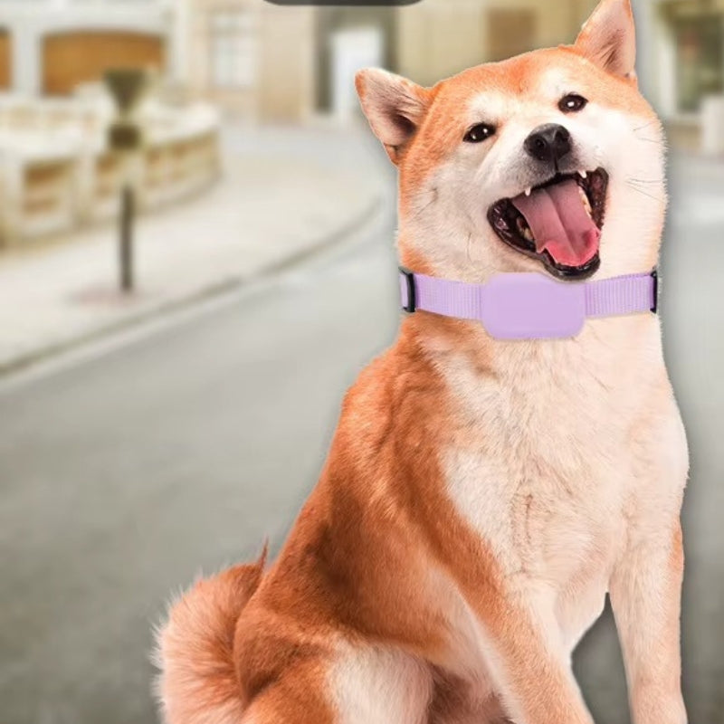 TrackPaw – Huisdier GPS Tracker met Verstelbare riem