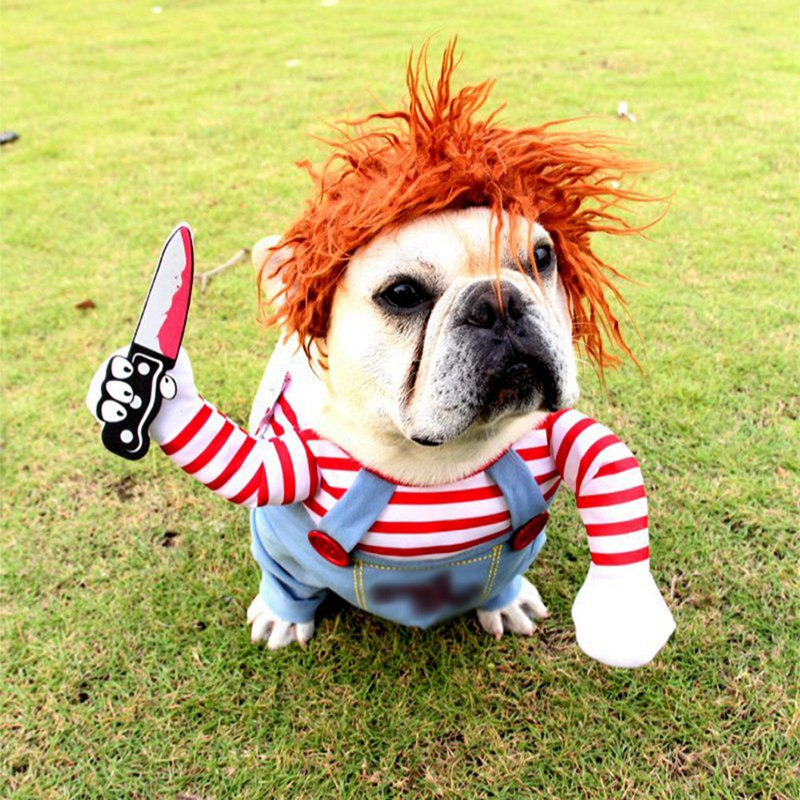PawfectPlay – Grappig hondencosplaykostuum puppy verkleedoutfit