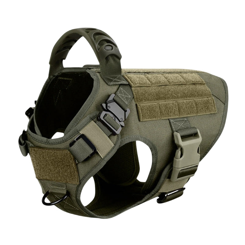 BoldPaw - Tactisch Hondharnas met Verstelbare Trainingsriemen