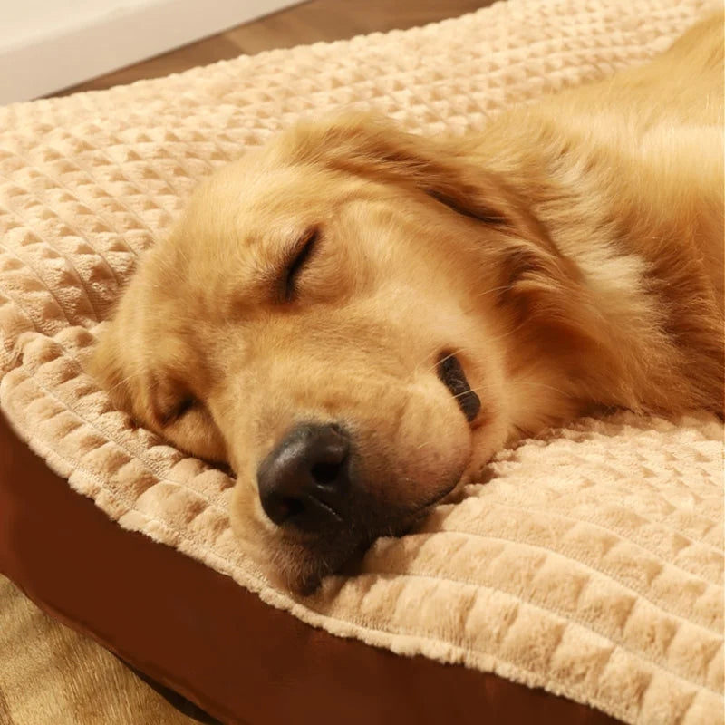 CozyPaws – Hondenslaapmat met Wasbare Hoes en Antislip Bodem