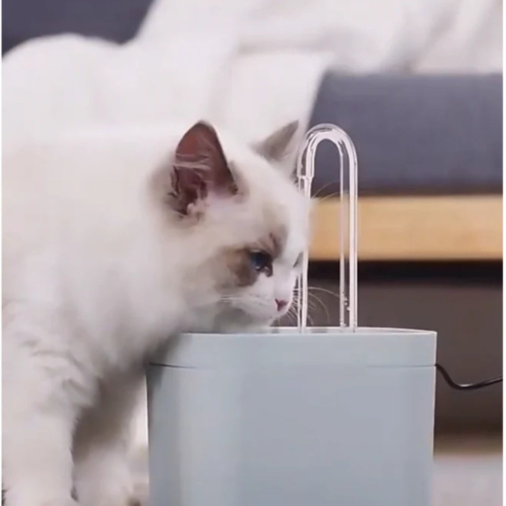 AquaPaw - Moderne drinkfontein voor huisdieren met zachte stroming en groot volume