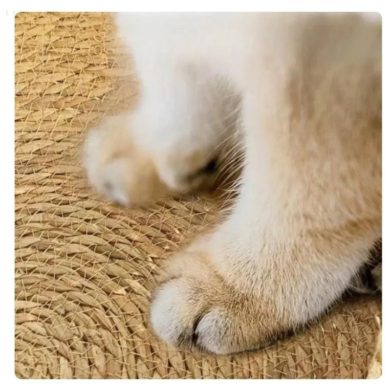 PurrNest – Handgeweven Kattenmand met Pluche Kussen