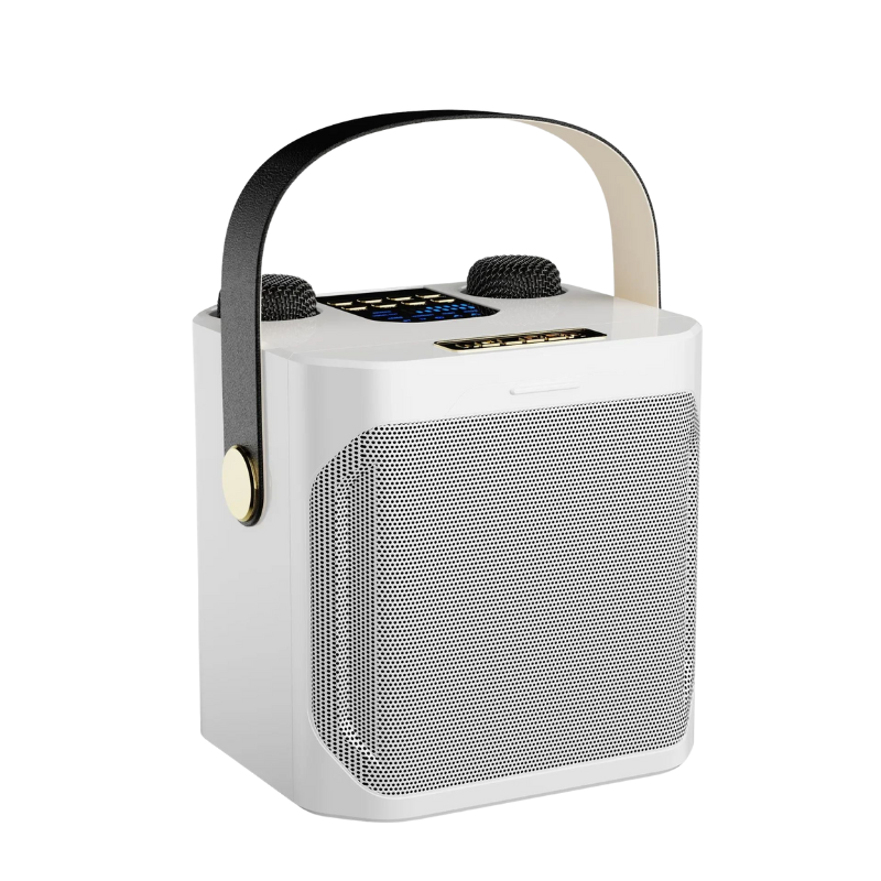 EchoWave – Bluetooth Speaker met Surround en Dubbele Microfoon