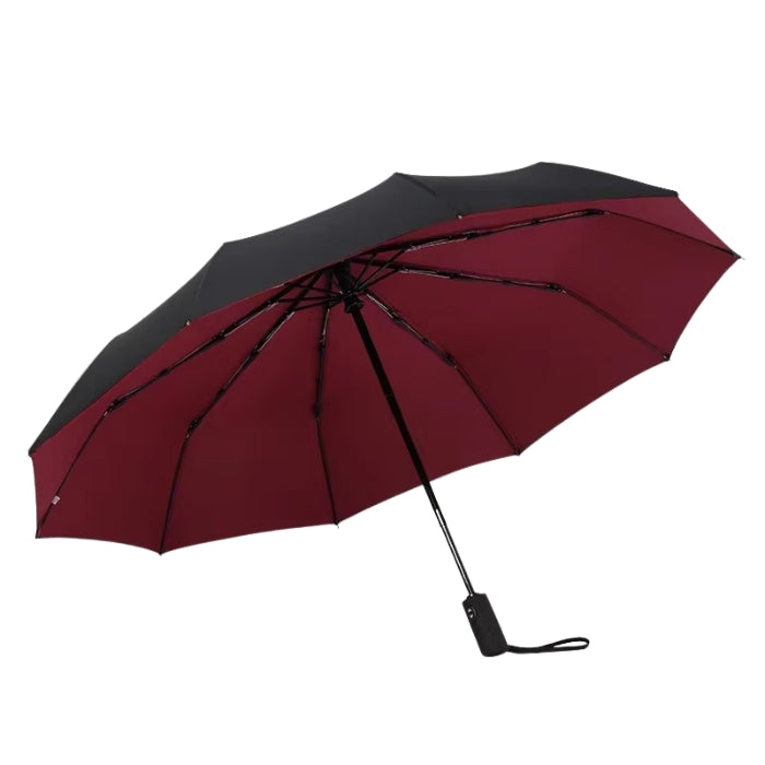 WeatherGuard - Winddichte Mini Paraplu met één Klik Uitbreiding