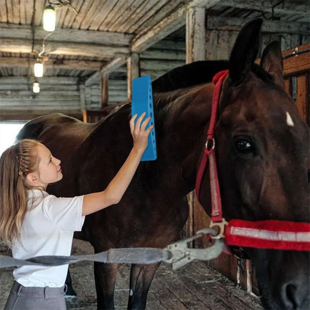 ManeGlow - Multifunctionele paardenborstel met verzorgingstool en comfortabele grip