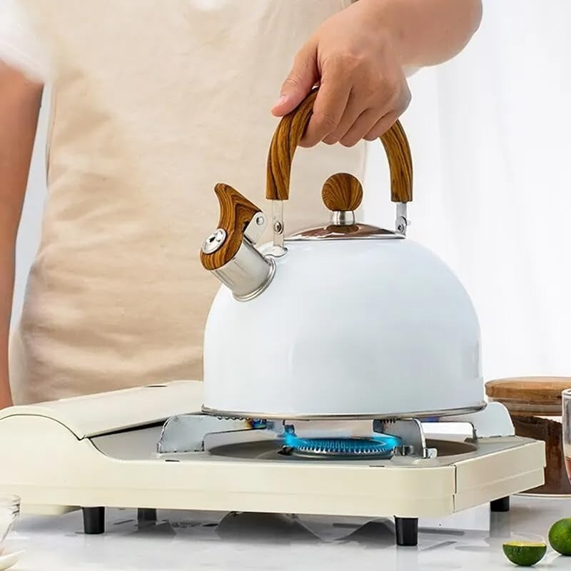 BoilEase – Koepelvormige Fluitketel met Houten Handvat