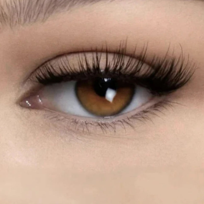 Sofia – Handgemaakt 3D Magnetisch Wimper Set met Volumineuze Zwarte Wimpers en Magnetisch Pincet