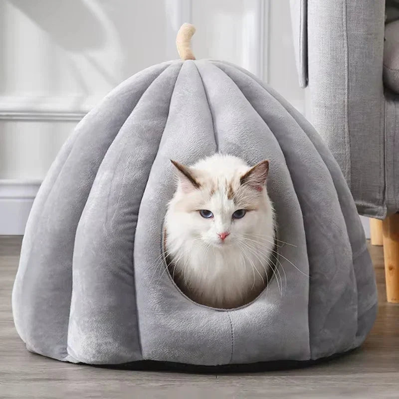 CozyPaw – Kattenhuis met Pompoen Inspiratie