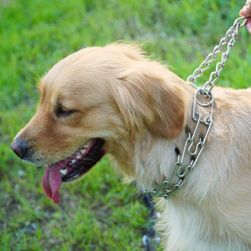 PawGuide – Hondenhalsband met Verwijderbare Schakels en Verstelbaar Ontwerp