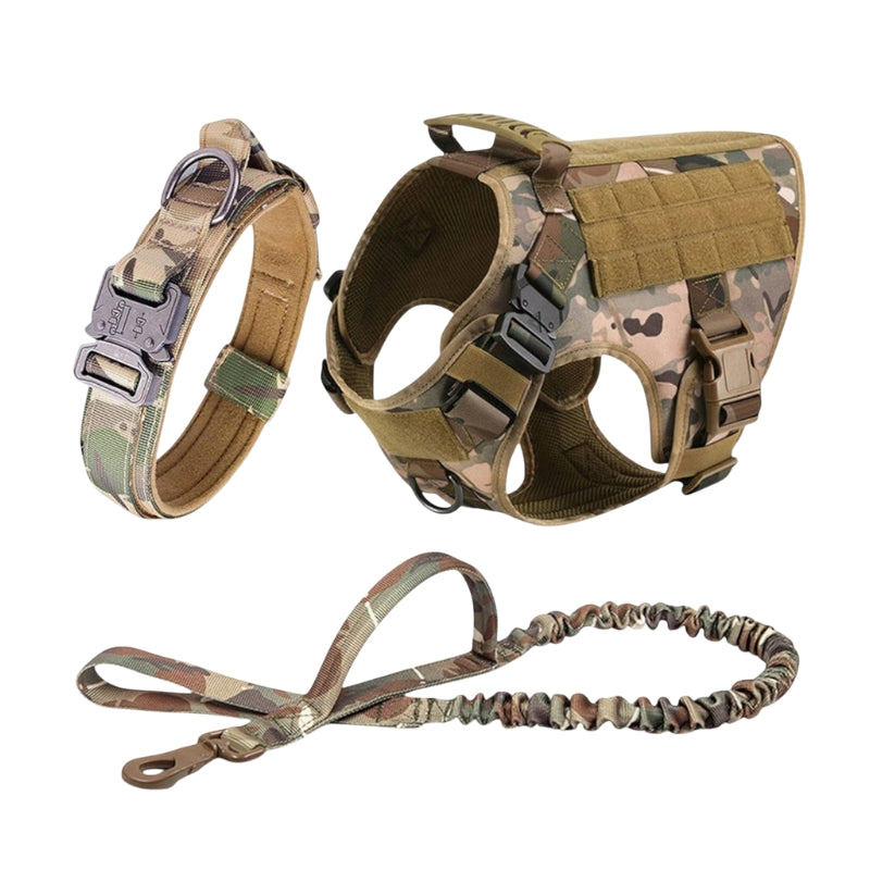 BoldPaw - Tactisch Hondharnas met Verstelbare Trainingsriemen
