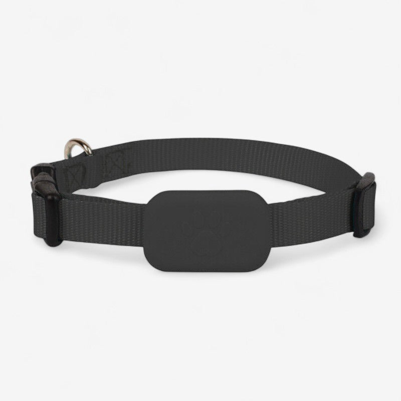 TrackPaw – Huisdier GPS Tracker met Verstelbare riem