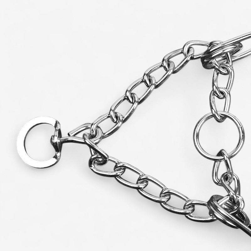 PawGuide – Hondenhalsband met Verwijderbare Schakels en Verstelbaar Ontwerp