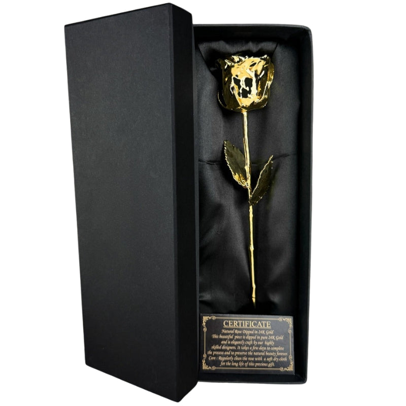 GoldenPetal - 24K Gouden Gepleisterde Echte Roos Bewaard voor Eeuwigheid