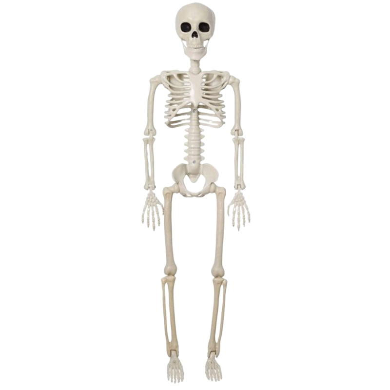 BoneBuddy – Levensgroot Skelet voor Halloween en Seizoensdecoratie
