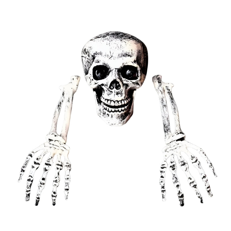 BoneChill - Halloween Skelet en Menselijk Hoofd Decoratie voor Feestjes