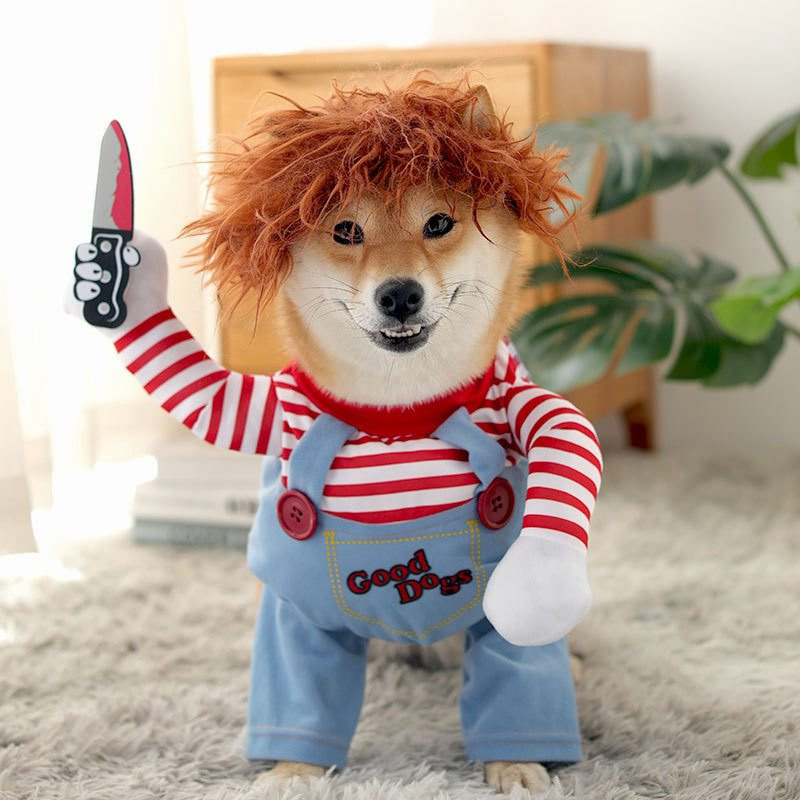 PawfectPlay – Grappig hondencosplaykostuum puppy verkleedoutfit