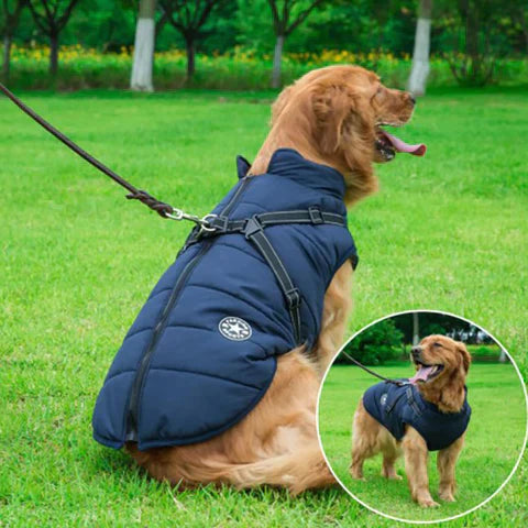 PawGuard - Hondenjas Volledig Lichaamsbescherming met Ingebouwd Harnas voor Comfort Bij Alle Weersomstandigheden