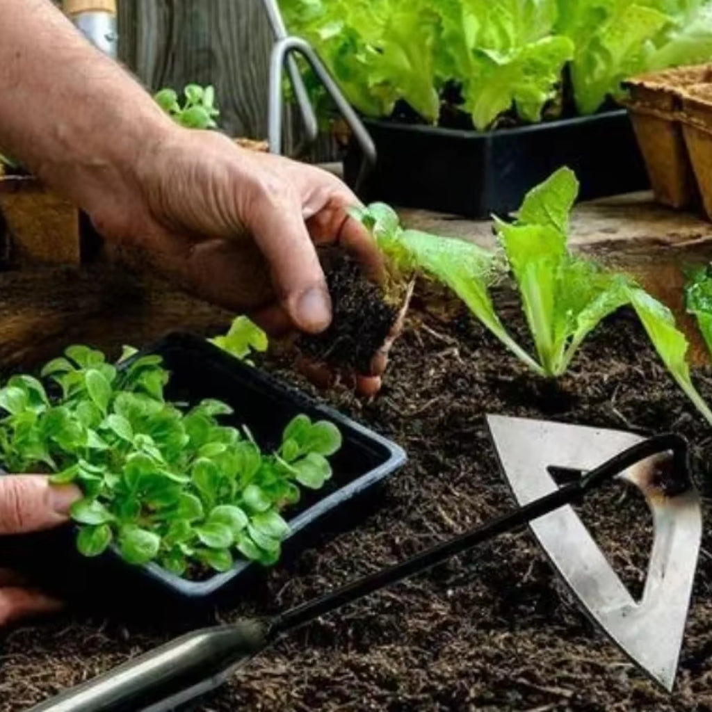 WeedMaster - Tuingereedschap met hol lemmet voor effectieve onkruidverwijdering