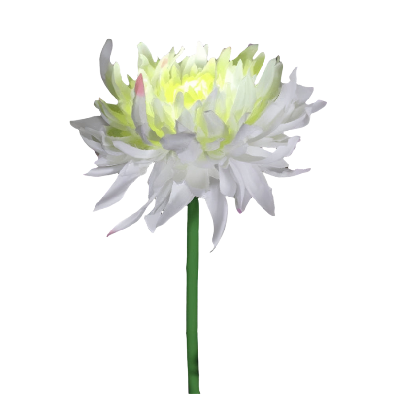 SunBlossom – Zonnebloemlamp met kleurveranderende LED verlichting