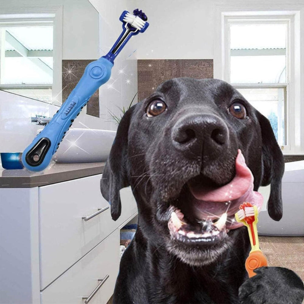 PawBright - Driekoppige tandenborstel voor huisdieren voor een frisse adem en schone tanden