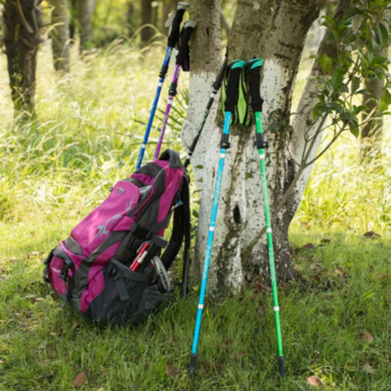 TrailCore – Verstelbare Trekkingstok van Koolstofstaal met Schuimgrip