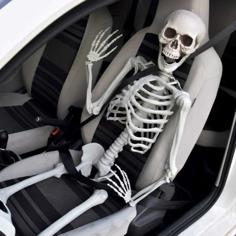 BoneBuddy – Levensgroot Skelet voor Halloween en Seizoensdecoratie