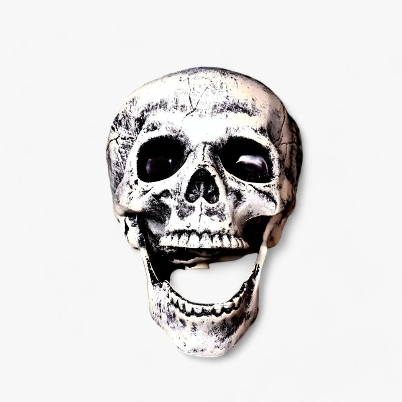 BoneChill - Halloween Skelet en Menselijk Hoofd Decoratie voor Feestjes