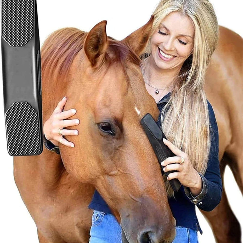 ManeGlow - Multifunctionele paardenborstel met verzorgingstool en comfortabele grip