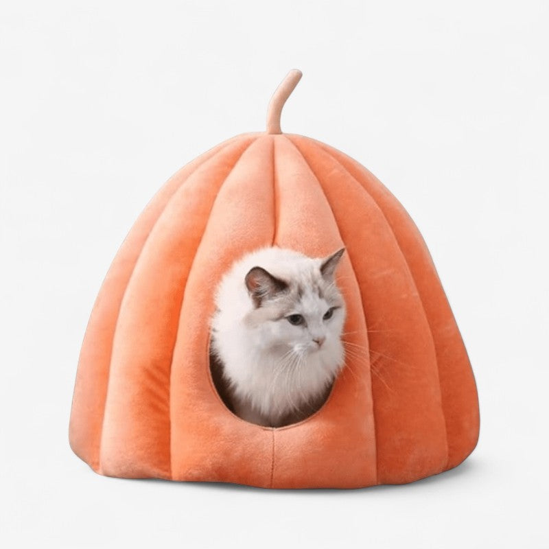 CozyPaw – Kattenhuis met Pompoen Inspiratie