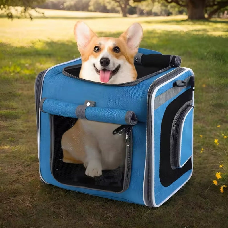 TravelBuddy – Huisdierentas met verstelbare ventilatie en meerdere ritsen