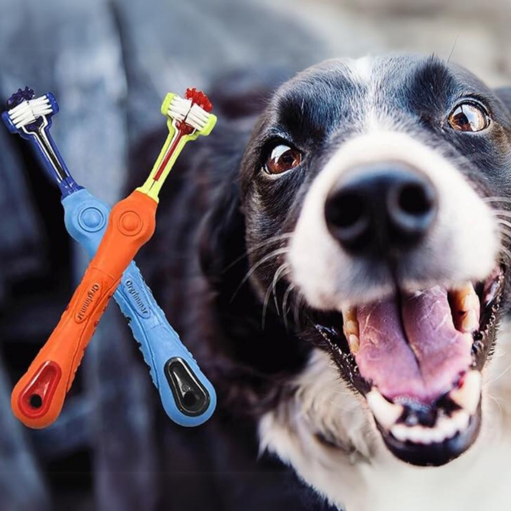 PawBright - Driekoppige tandenborstel voor huisdieren voor een frisse adem en schone tanden