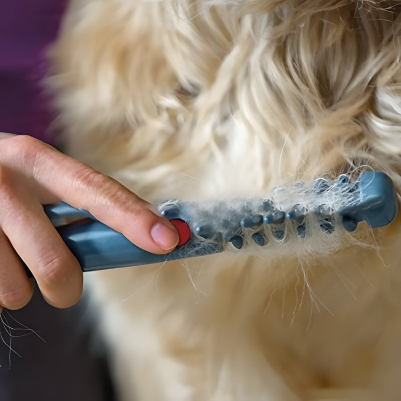 PetGroom – Elektrische Verzorgingsborstel voor Honden en Katten met Roestvrijstalen Tanden