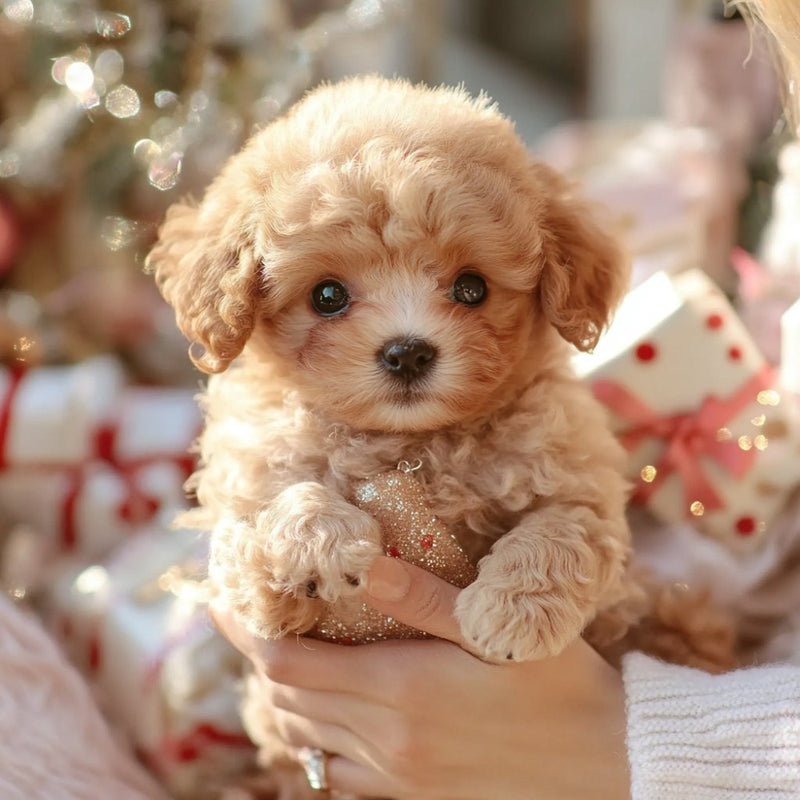 PupSnugs – Realistische pluchen hond met zachte vacht en levensecht geruststellend ontwerp