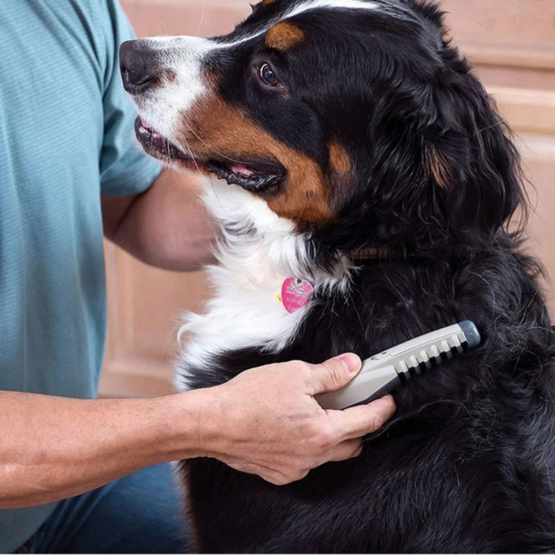 PetGroom – Elektrische Verzorgingsborstel voor Honden en Katten met Roestvrijstalen Tanden
