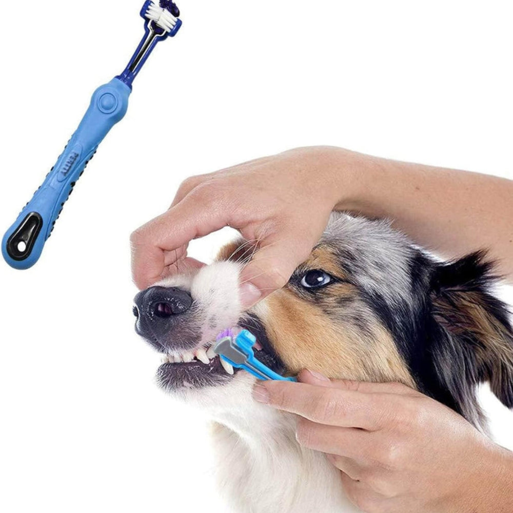 PawBright - Driekoppige tandenborstel voor huisdieren voor een frisse adem en schone tanden