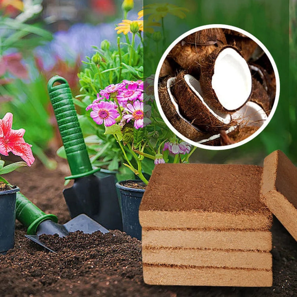 CocoBloom – Compacte kweekmixblokken met een natuurlijke uitstraling en luchtige textuur