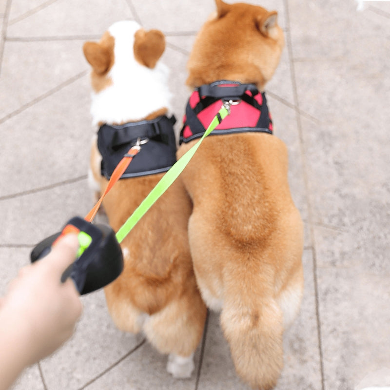 DogEase - Intrekbare dubbele hondenriem met zaklamp en klitvrije riemcontrole