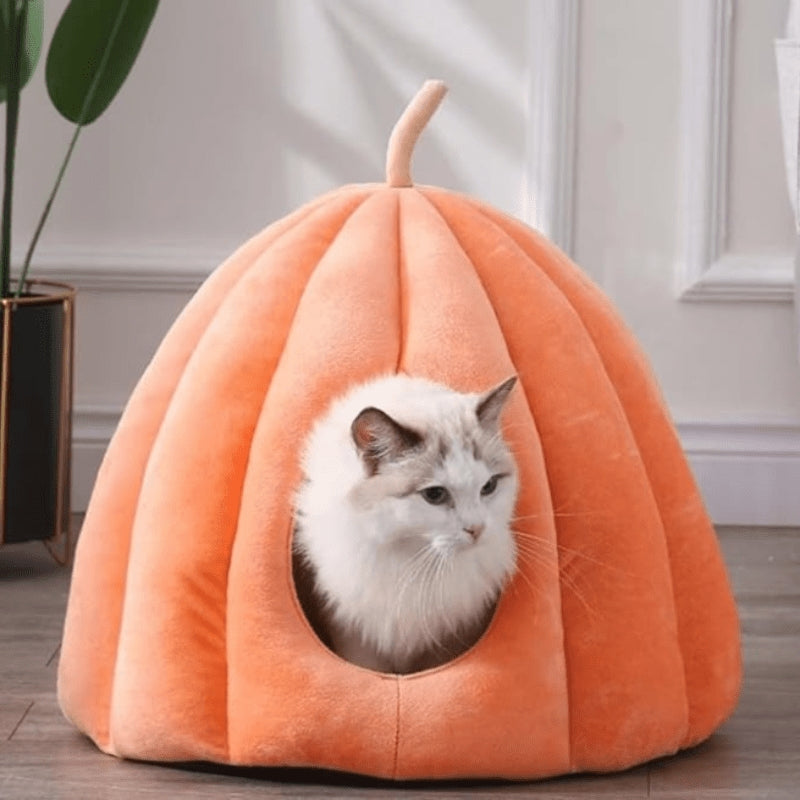 CozyPaw – Kattenhuis met Pompoen Inspiratie