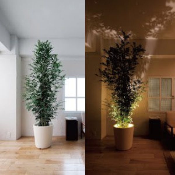 VivaGlow - Elegante projectorlamp met verstelbare focus en modern design