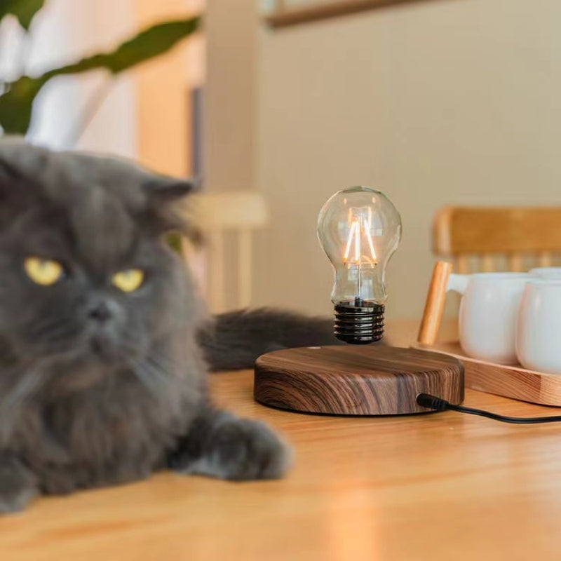 BulbGlow - Floating Edison Bulb Lamp with Magnetic Levitation