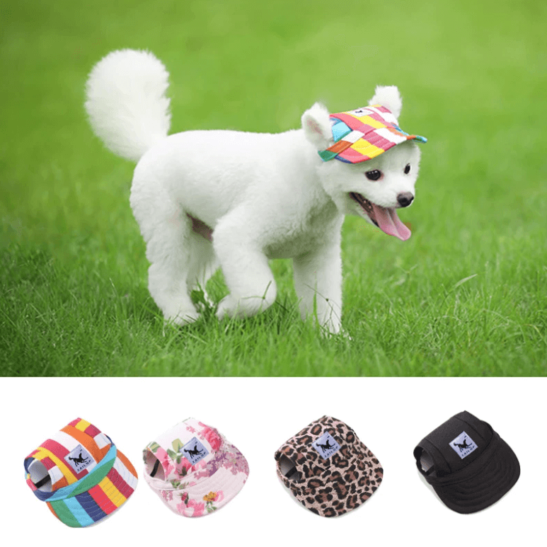 PetCap - Stijlvolle honden- en kattenhoed met verstelbare pasvorm voor bescherming tegen de zon en comfort