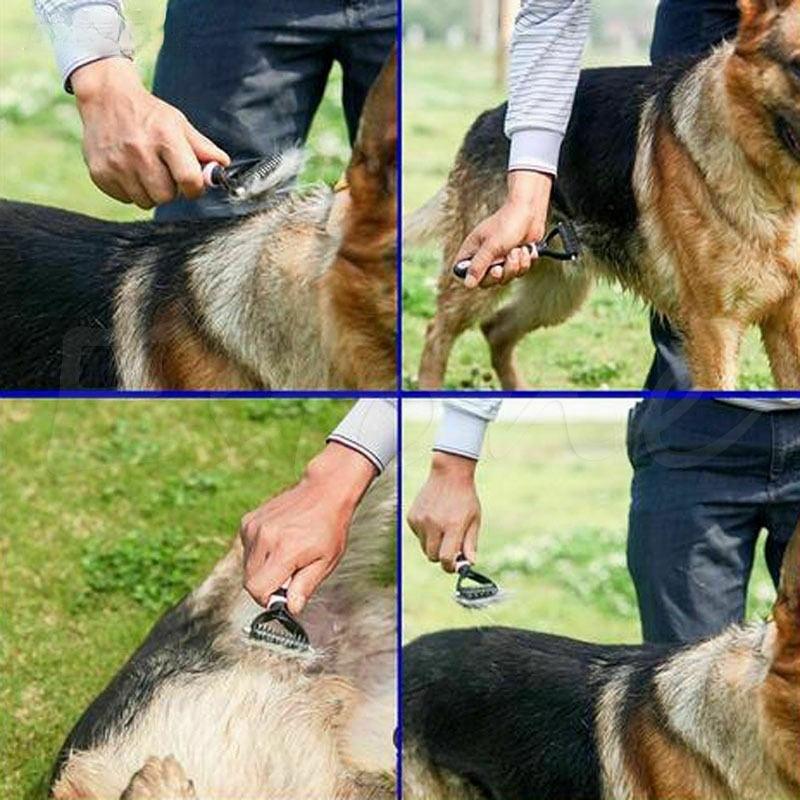 PetCare - Dubbelzijdig Huisdier Kam Hair Verhuizing  met stijlvol design