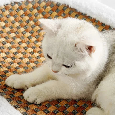 ScratchHaven™ - Krabbed voor katten