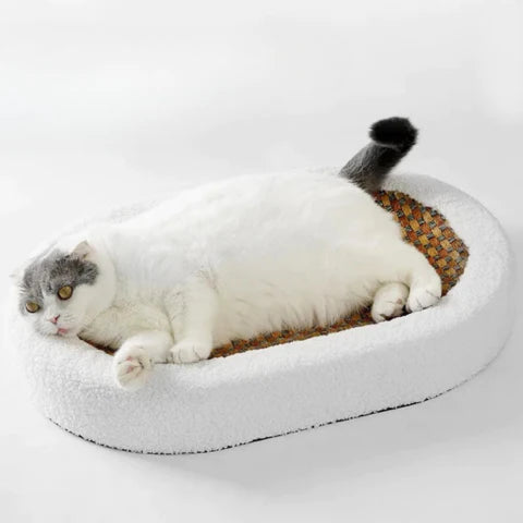 ScratchHaven™ - Krabbed voor katten